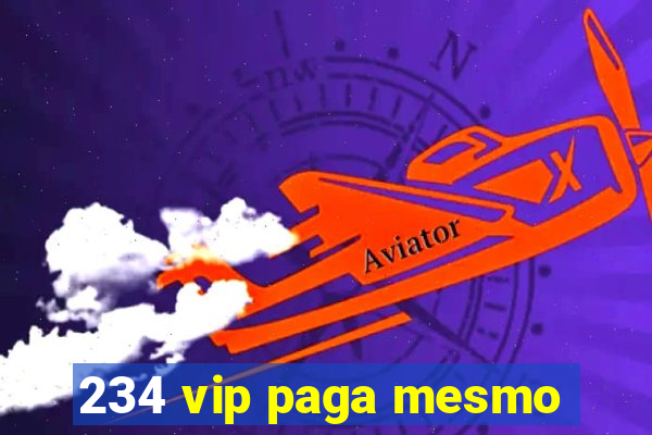 234 vip paga mesmo