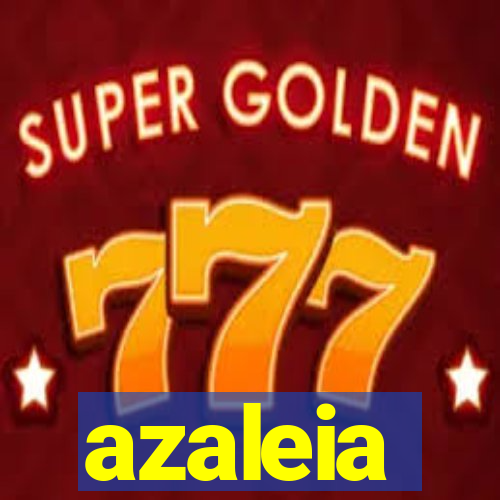 azaleia-br.com