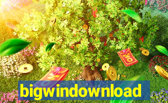 bigwindownload