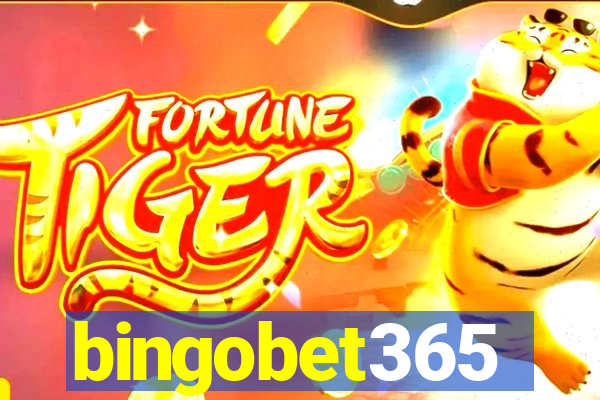 bingobet365