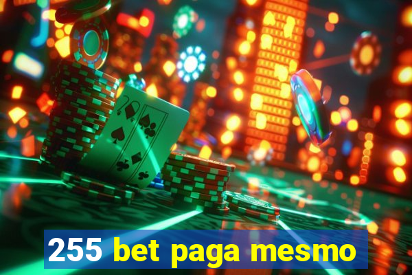 255 bet paga mesmo