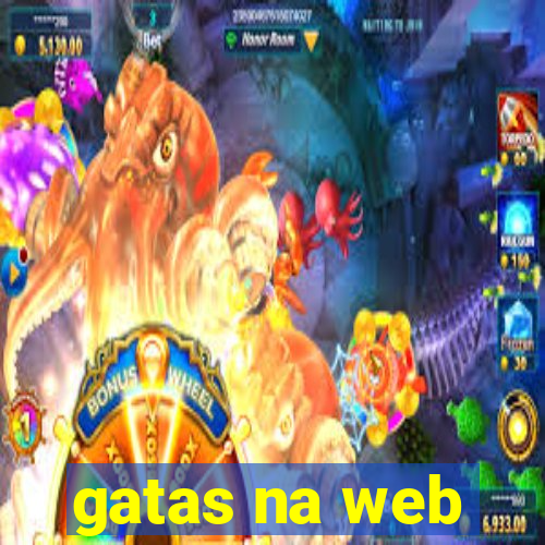 gatas na web