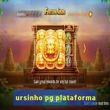 ursinho pg plataforma